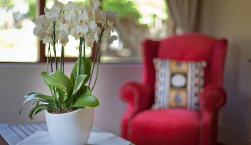 Sunbird Suite