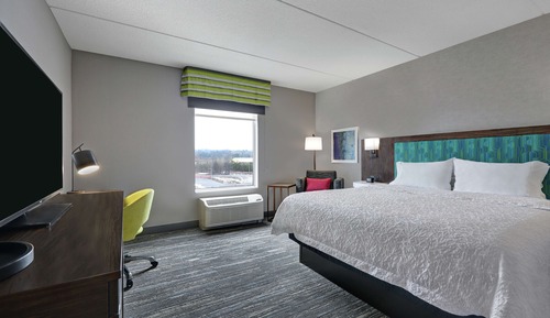 Room, 1 King Bed, Microwave