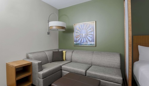 Room, 1 King Bed with Sofa bed, Accessible (with Shower)