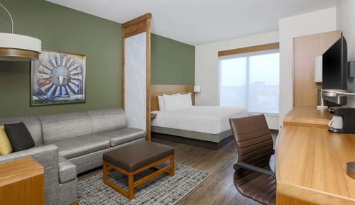 Room, 1 King Bed with Sofa bed