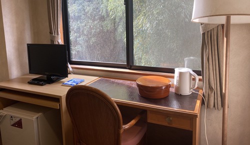 Business Single Room, 1 Twin Bed, Mountainside