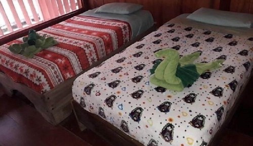 Economy Room