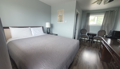 Single Room, 1 Queen Bed, Pets Not Allowed