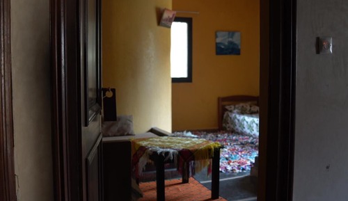 Evasion Lemon (7)