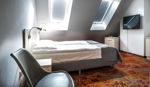 Single Room, 1 Twin Bed