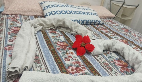 Basic Double Room