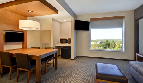 Suite, 1 King Bed with Sofa bed