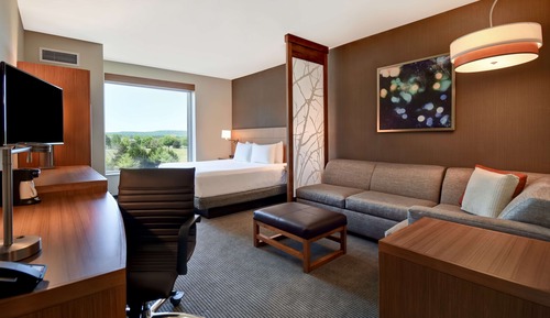 Room, 1 King Bed with Sofa bed