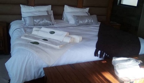 Luxury Twin Room
