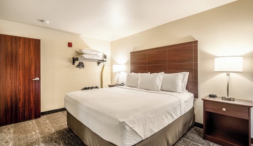 Suite, 1 King Bed with Sofa Bed, Audible/Visual Adapted, Non Smoking