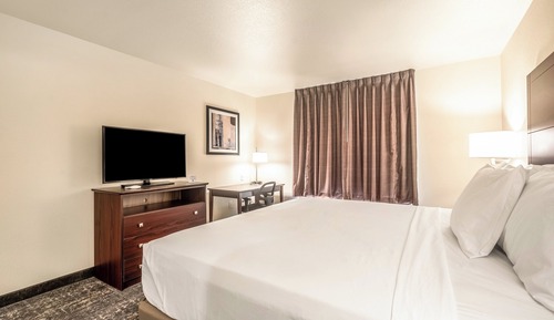 Room, 1 King Bed, Audible/Visual Adapted, Non Smoking