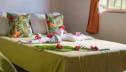 Room, Shared Bathroom, Garden View (Chambre Tiare)