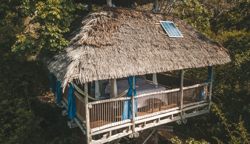 Family Tree House (Nne)