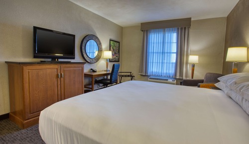 Deluxe Room, 1 King Bed, Accessible, Refrigerator & Microwave (Roll in Shower)