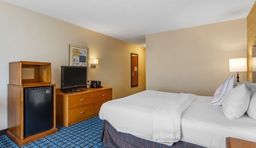Room, 1 King Bed, Non Smoking