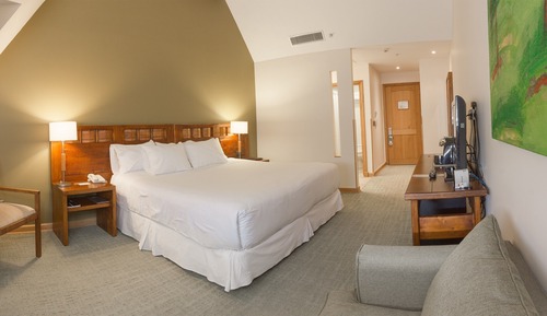 Standard Room, 1 King Bed, Non Smoking