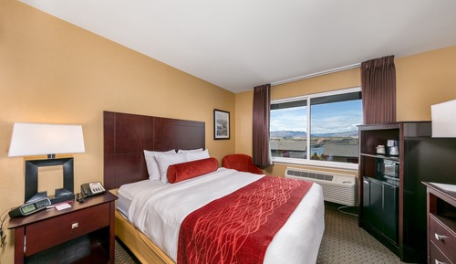 Room, 1 Queen Bed