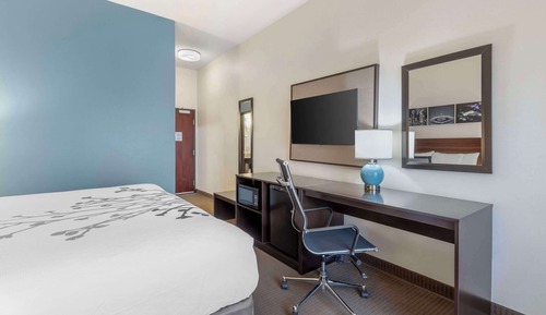 Room, 1 King Bed, Non Smoking