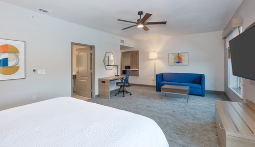 Standard Room, 1 King Bed with Sofa bed