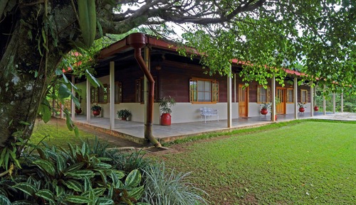 Bungalow