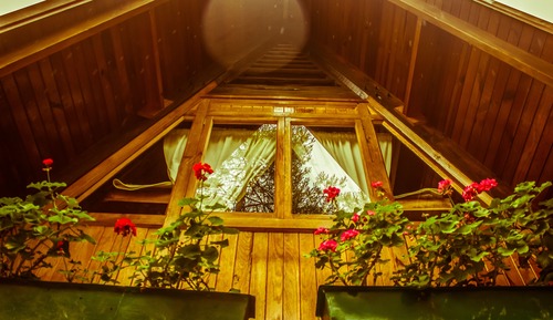 Family Cabin