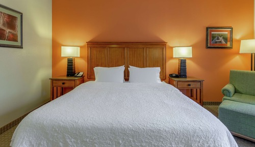 Room, 1 King Bed, Accessible, Non Smoking