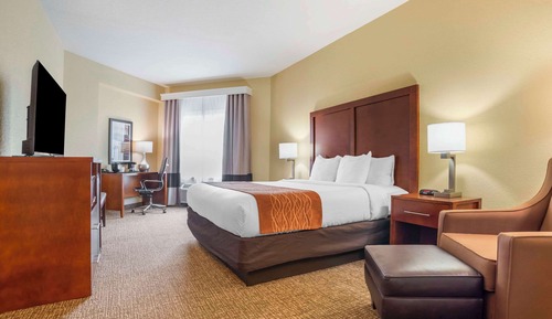 Standard Room, 1 King Bed, Non Smoking