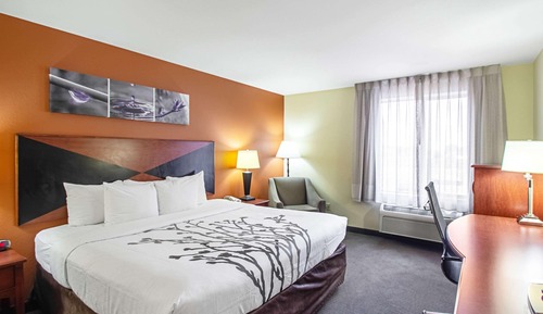 Standard Room, 1 King Bed, Non Smoking