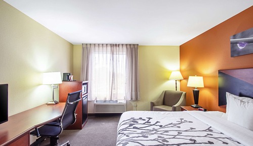 Room, 1 King Bed, Accessible, Non Smoking