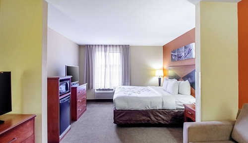 Suite, 1 King Bed with Sofa bed, Accessible, Non Smoking
