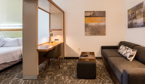 Suite, 1 King Bed with Sofa bed (Hearing Accessible)