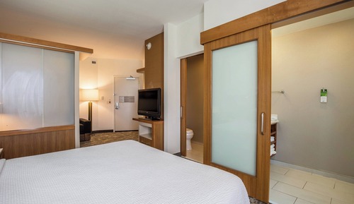Suite, 1 King Bed with Sofa bed