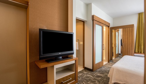 Suite, 1 King Bed with Sofa bed (Mobility/Hearing Accessible, Tub)