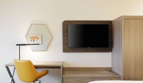 Suite, 1 King Bed
