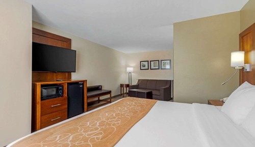 Suite, 1 King Bed with Sofa bed, Accessible, Non Smoking