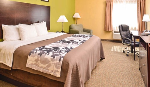 Room, 1 King Bed, Accessible, Non Smoking