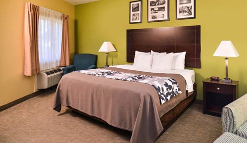 Suite, 1 King Bed, Non Smoking