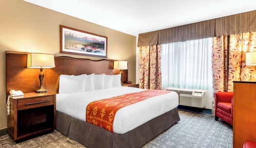 Suite, 1 King Bed, Accessible, Fireplace (Pet Friendly;with Sofabed)