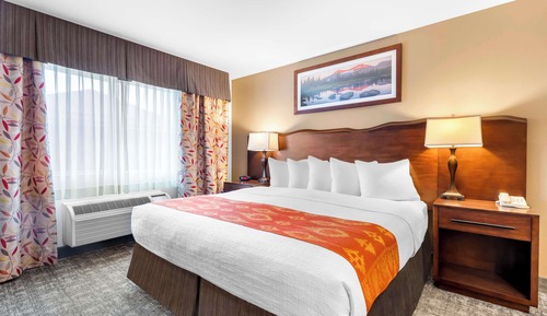 Standard Room, 1 King Bed, Accessible, Non Smoking (Not Pet Friendly)