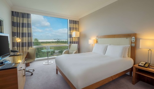 Room, 1 King Bed