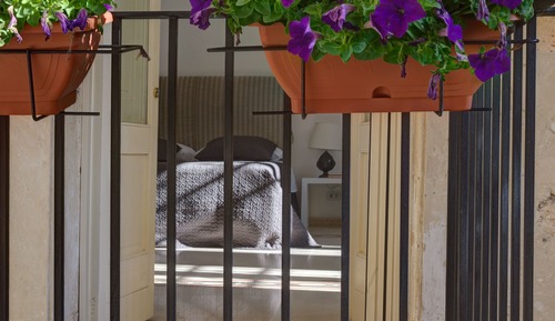 Triple Room (Chicchera)