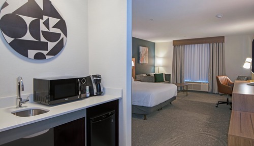 Standard Room, 1 King Bed with Sofa bed, Mobility Accessible (Roll-In Shower)
