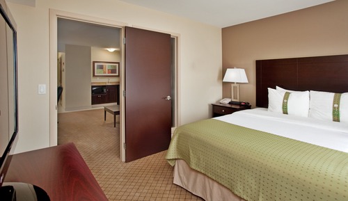 Suite, 1 King Bed with Sofa bed