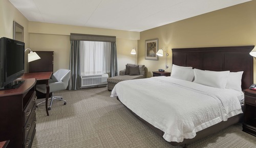 Room, 1 King Bed, Accessible (Roll-In Shower, Mobility & Hearing)