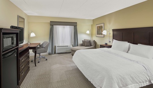 Room, 1 King Bed, Accessible, Bathtub (Mobility & Hearing)