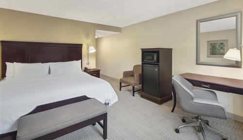Room, 1 King Bed, Non Smoking, Refrigerator & Microwave