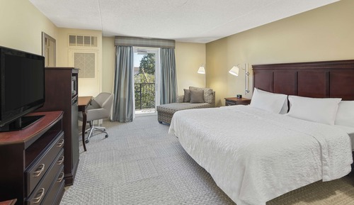 Room, 1 King Bed, Accessible, Bathtub