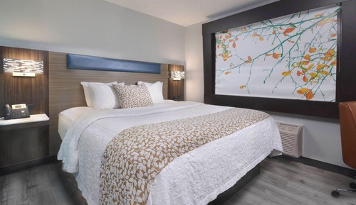 Standard Room, 1 King Bed, Non Smoking