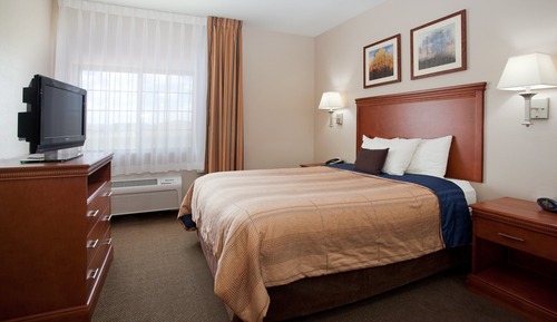 Suite, 1 Bedroom