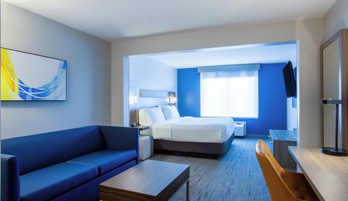 Room, 1 King Bed with Sofa bed